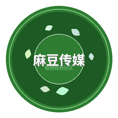 麻豆传媒